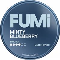 FUMi Minty Blueberry Strong 20PK Nicotine Pouches | Pack of 5 Box
