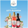 Blossom Hill Sauvignon Blanc, White Wine, 75cl, (Case Of 6) - Shop premium English wines